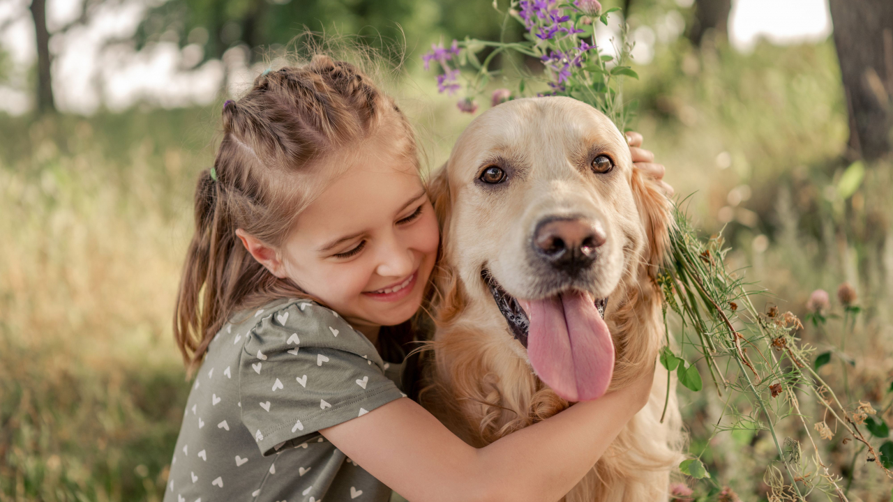 EDS 2024 - Junior Handling EDS 2024 - Junior Handling